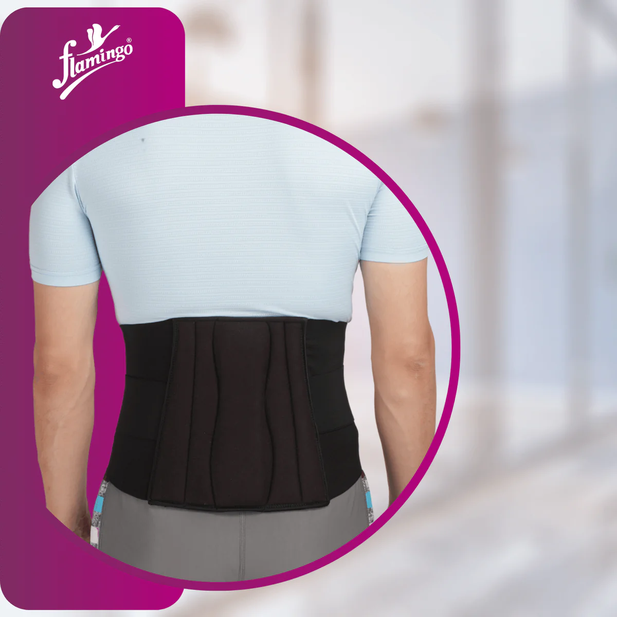 Flamingo Lumbar Sacro Belt Medium ( OC-2001 )