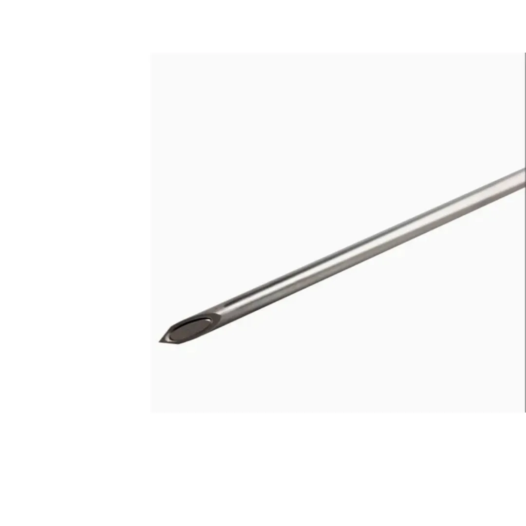 BD Quincke Spinal Needles