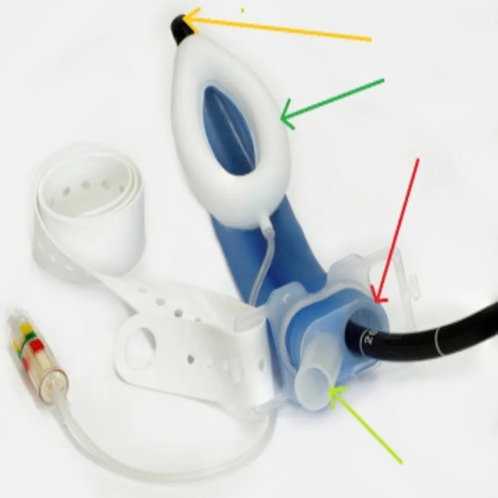 Rusch LMA Gastro Airway Tube